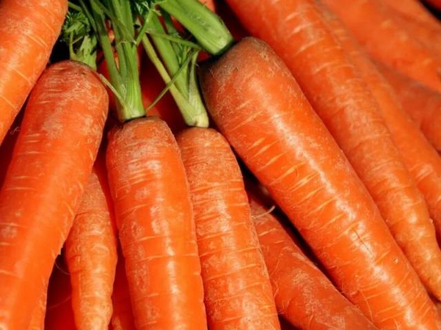 Секреты посадки и выращивания моркови